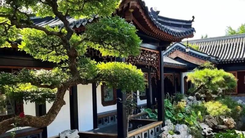 jinnianhui 金年会 平台发展历程图示