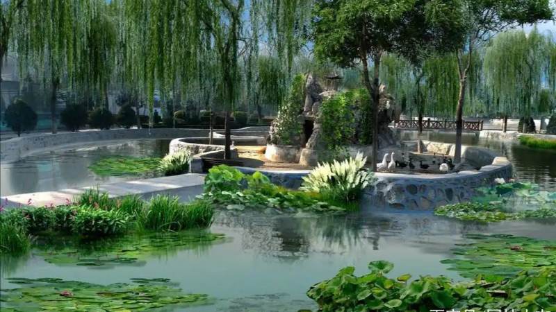 jinnianhui 金年会 生态修复项目现场